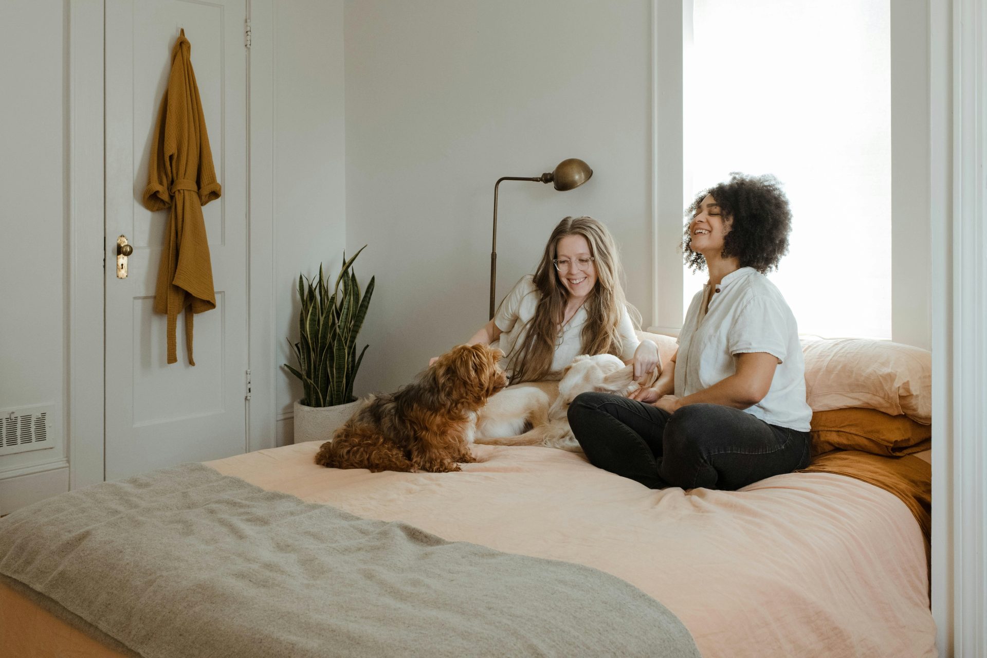 airbnb pet rules example